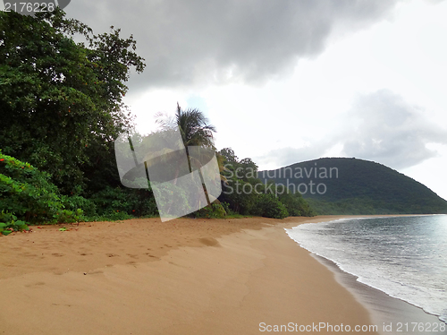 Image of caribbean beach scenery