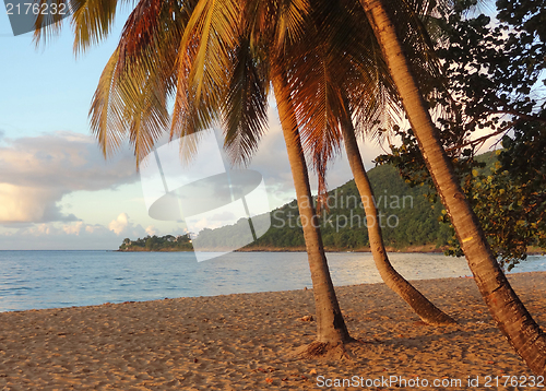 Image of sundown beach scenery