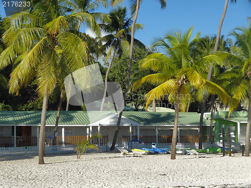 Image of caribbean beach scenery