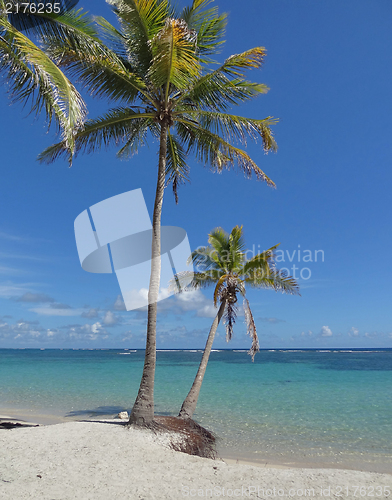 Image of caribbean beach scenery