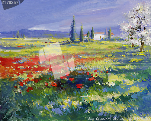 Image of painted poppies on summer meadow