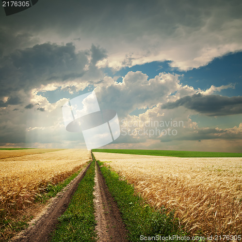 Image of road in golden agricultural field under dramatic clouds