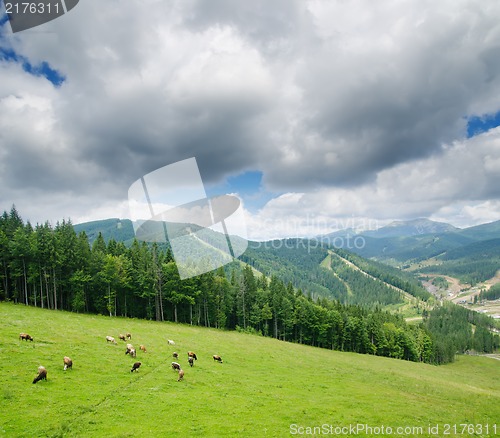 Image of Beautiful green mountain landscape