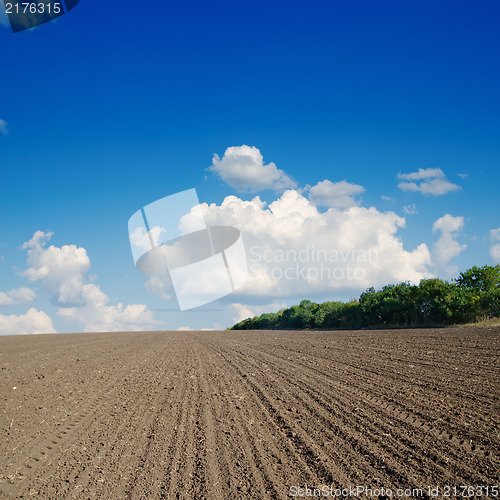 Image of black ploughed field under blue sky