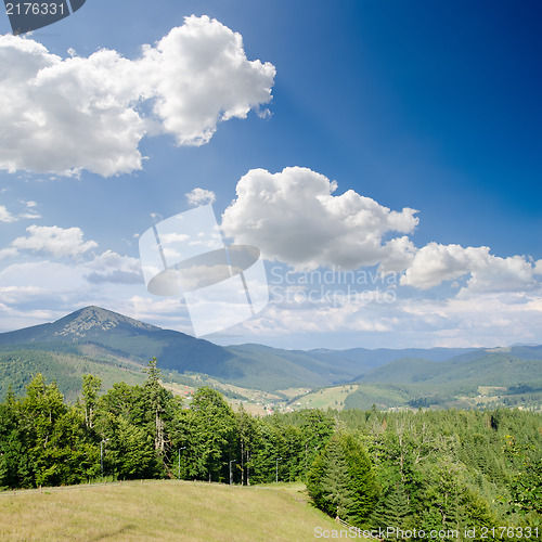 Image of Carpathian mountains in summer, Bukovel region, Ukraine