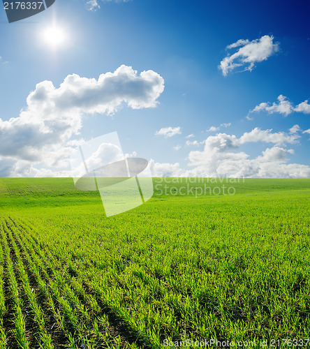 Image of field of grass and deep blue sky with sun