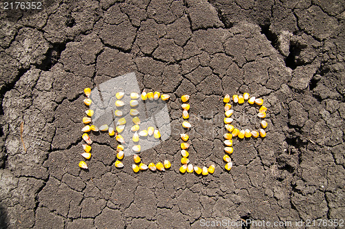 Image of word HELP from grains of corn over cracked earth