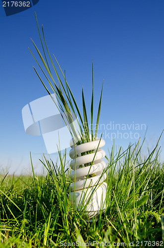 Image of energy saving lamp in green field