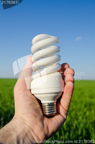 Image of energy saving lamp in hand