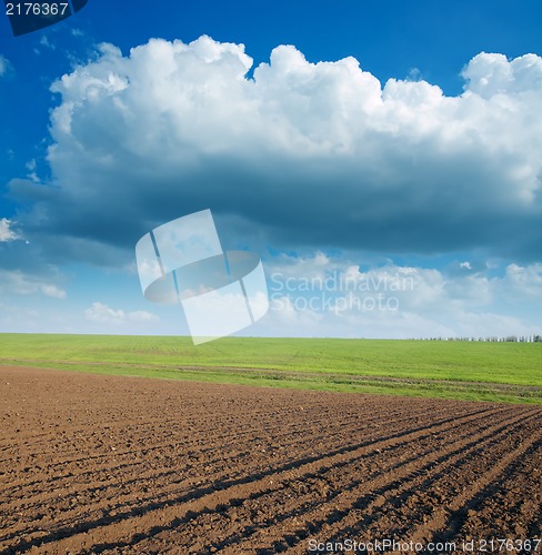 Image of ploughed field