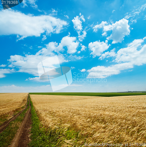 Image of rural road under cloudy sky in golden field