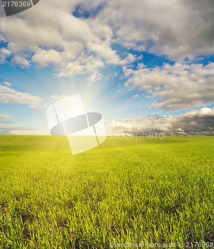 Image of sun over green field