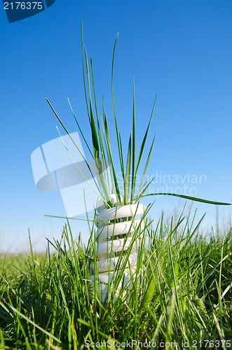 Image of energy saving lamp in green grass under blue sky