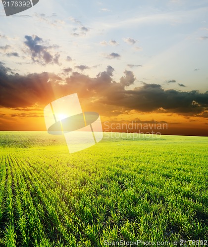 Image of sunset over green field