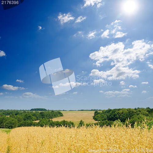 Image of field with oats under sky with sun