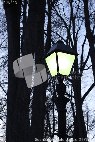 Image of Street light and silhouettes of trees