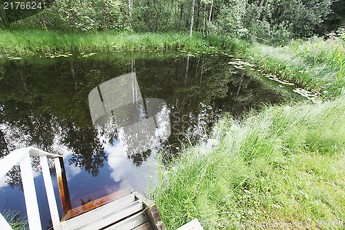 Image of swimming pond and in the wood