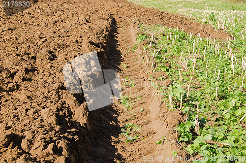 Image of tractor mark trail soil agricultural plow field 