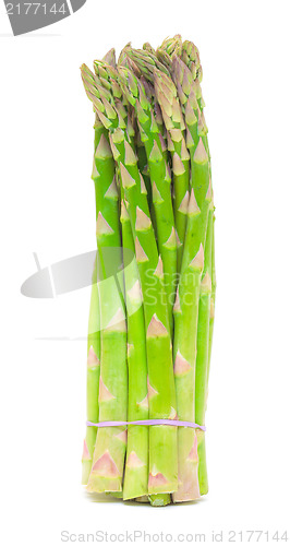 Image of Fresh Green Asparagus Bunch