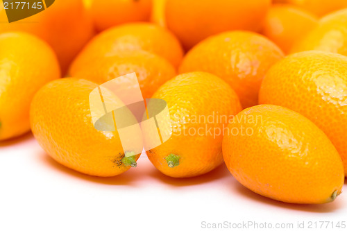 Image of Heap Kumquat fruit (Fortunella)