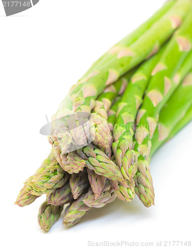 Image of Fresh Green Asparagus Bunch