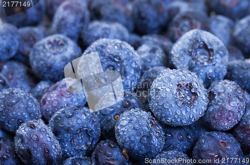 Image of Wet Fresh Blueberries Berries