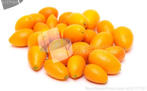 Image of Heap Kumquat fruit (Fortunella)