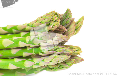 Image of Fresh Green Asparagus Bunch