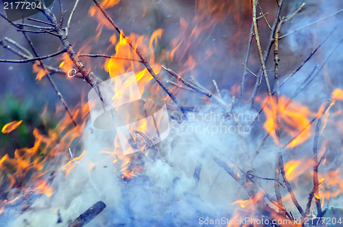 Image of leaves burning hazard