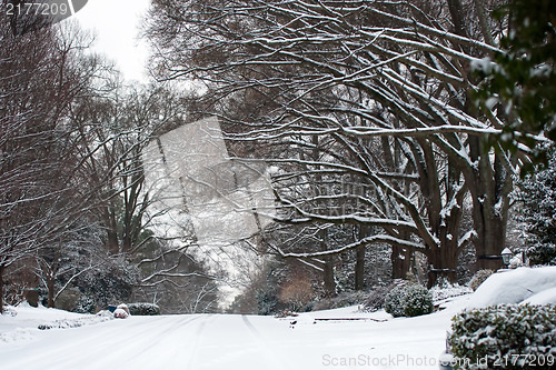 Image of snow covered street and treeline