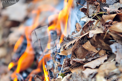 Image of leaves burning hazard