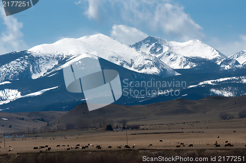 Image of rocky mountains in montana