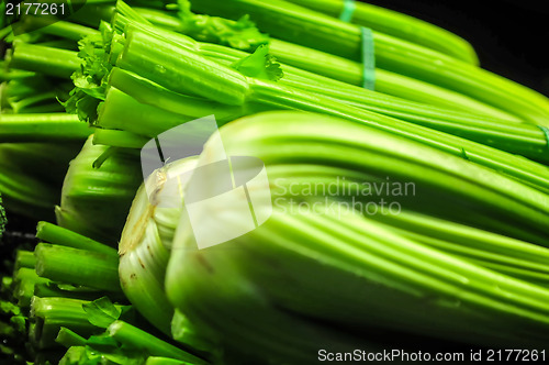 Image of Fresh group of Celery