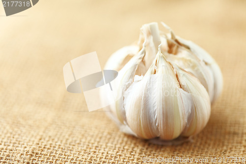 Image of Garlic