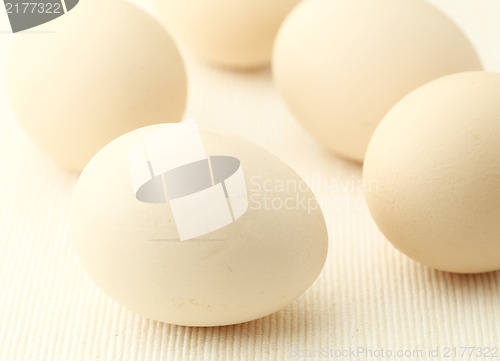 Image of Egg