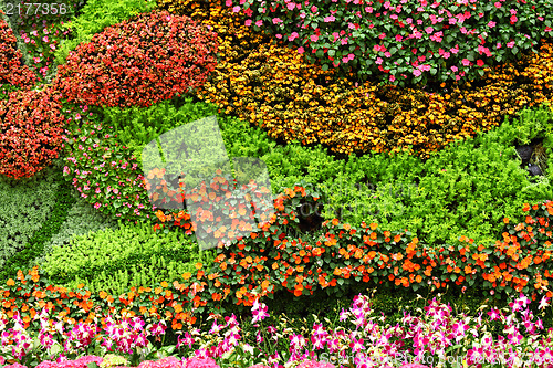 Image of flower wall