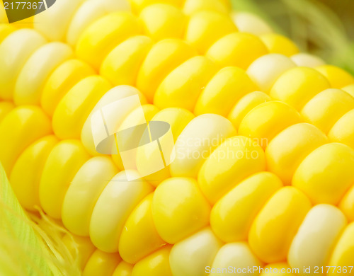 Image of corn