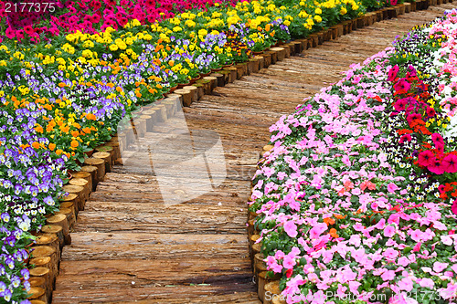 Image of wooden path in flower bed