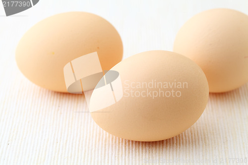 Image of egg