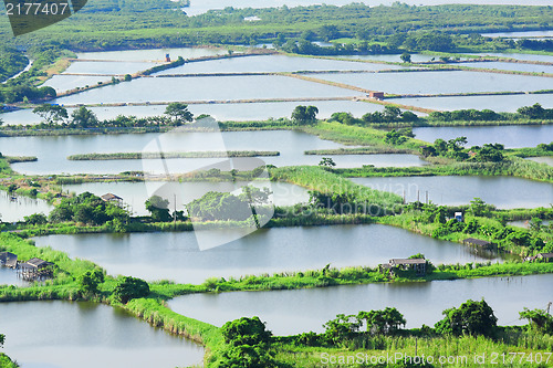 Image of Fish hatchery pond