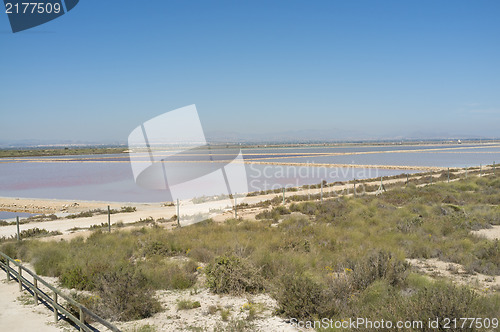 Image of Santa Pola salt marsh