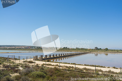 Image of Santa Pola salt marsh