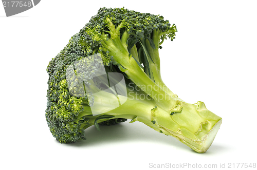 Image of Broccoli