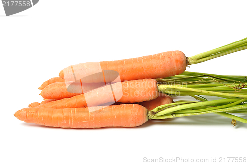 Image of Carrots on White