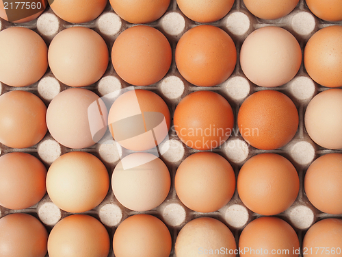 Image of Eggs