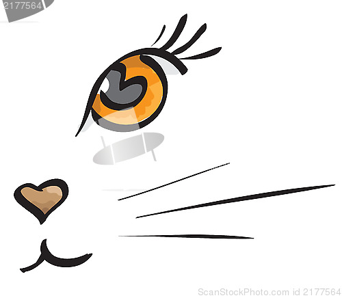 Image of cat muzzle