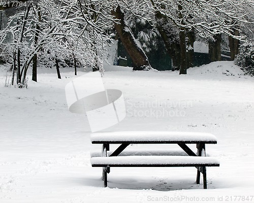 Image of Bench