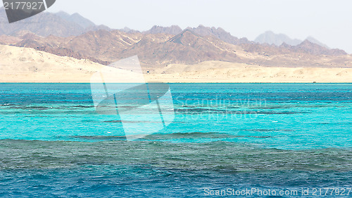 Image of Ras Mohammed in the Red Sea, Egypt
