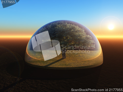 Image of tree under glass dome