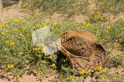 Image of The joy of spring